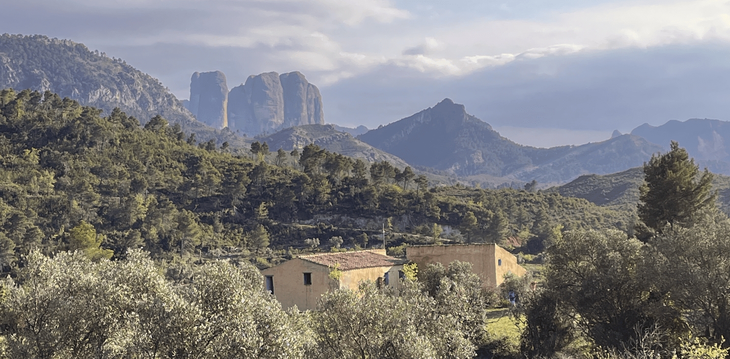 Imatge del cartell del Festival Terra Roja 2023