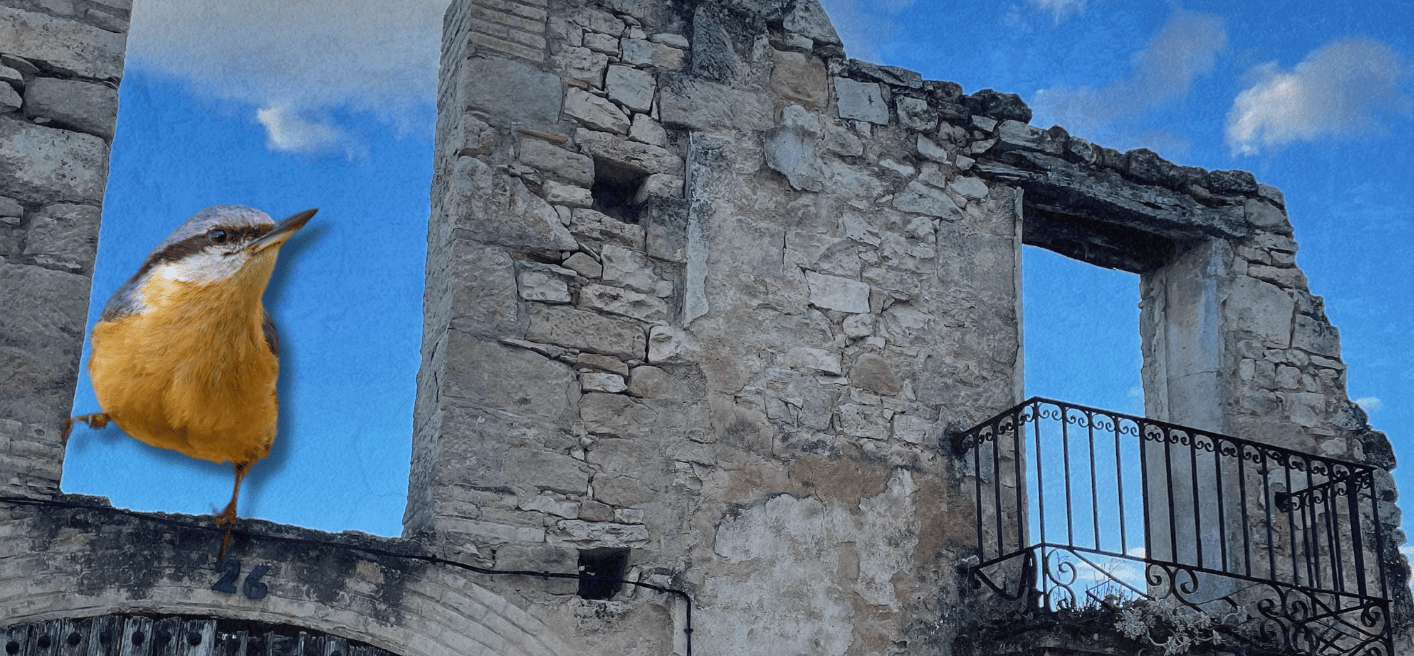 Imatge del cartell del Festival Terra Roja 2024